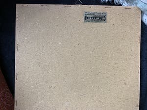 Maarten Langbroek - Langs de Noordzee Garnalenvisser Paarden kopen? Bied vanaf 35!