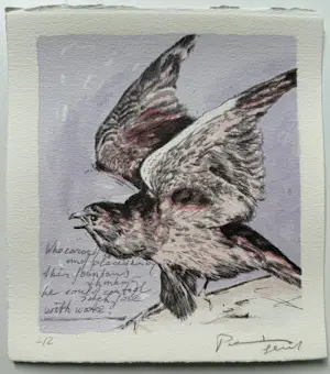 AcheterPieter Alewijns - handgesigneerde zeefdruk | 'Vogel' | 1996? Enchérissez de 50!