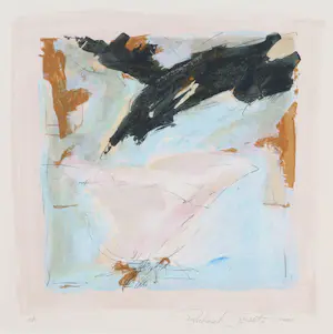 Richard Smeets - With visor raised kopen? Bied vanaf 50!