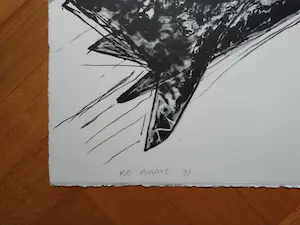 Ko Aarts - Vliegtuig kopen? Bied vanaf 85!