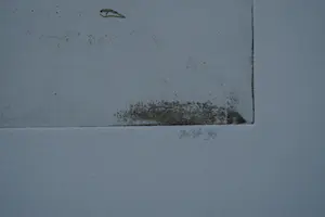 Marian Zult - zonder titel kopen? Bied vanaf 30!