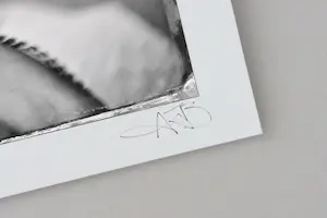 AJ Barnes - 'Boetvaardig' (2013) kopen? Bied vanaf 100!