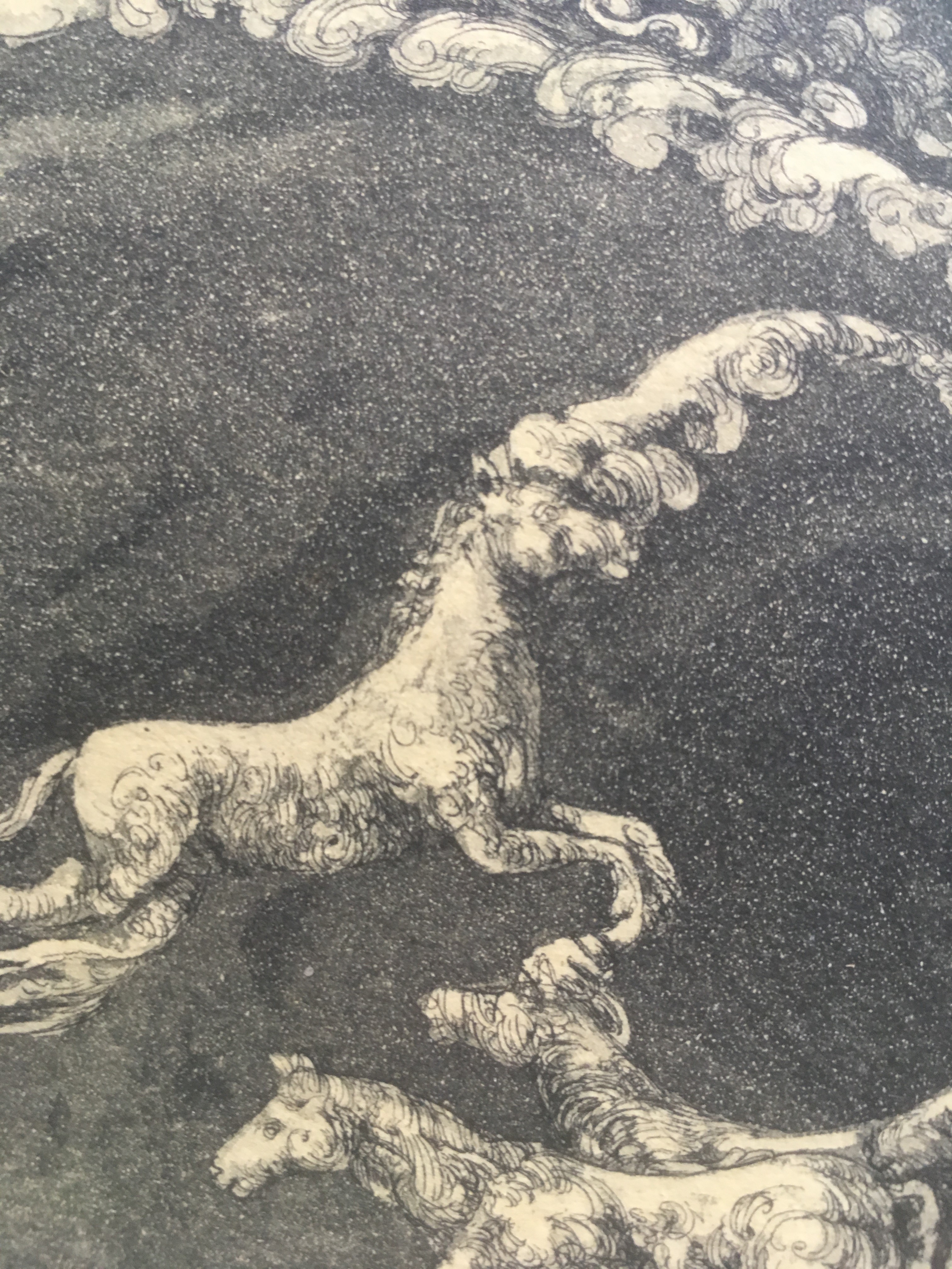 Niet of onleesbaar gesigneerd - Ets met paarden hemelvaart kopen? Bied vanaf 1!