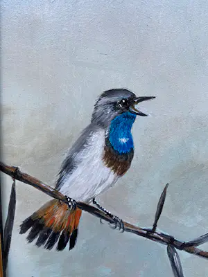 Henk Poeder - Blauwborstje kopen? Bied vanaf 89!