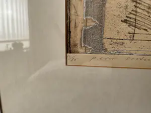 Peter Oosterbos - Home is where the heart is kopen? Bied vanaf 75!