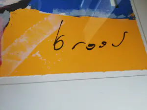 Herman Brood - GROOT:prachtig ingelijste kleurenzeefdruk kopen? Bied vanaf 395!