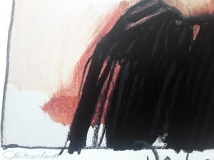 Peter Donkersloot - MajoorBosshardt,gesigneerd kopen? Bied vanaf 30!