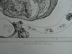 Ab Steenvoorden - Ets , Monument der Vissen – Surrealistische voorstelling, 1971 - 16½ x 41 cm kopen? Bied vanaf 1!