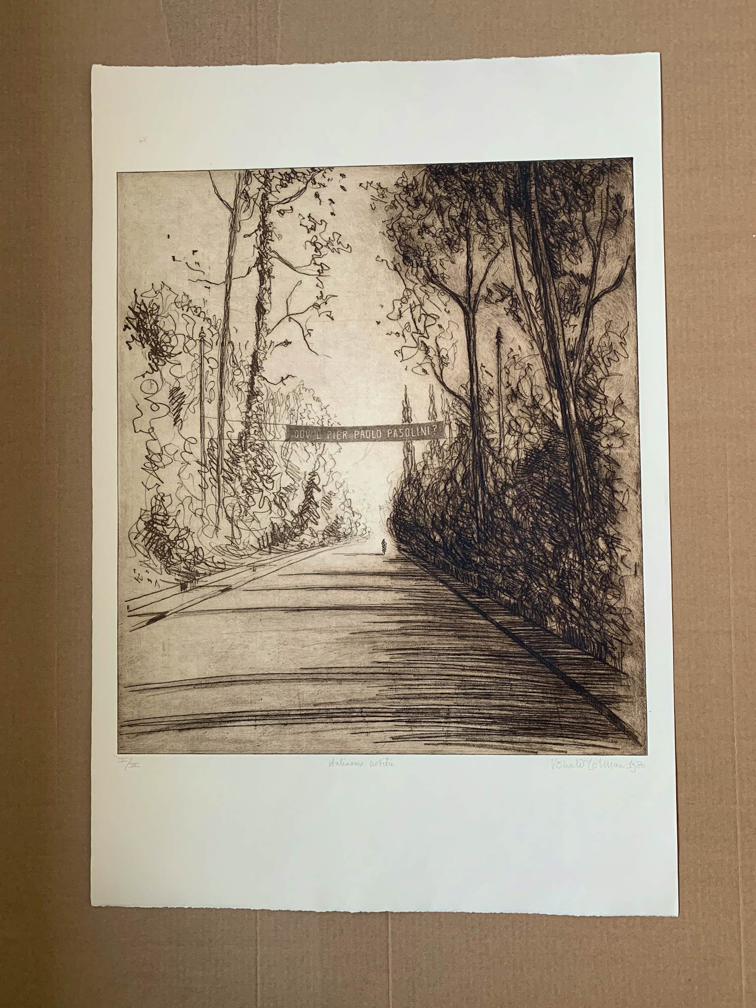 Ronald Tolman - Ets Dov´e Pier Paolo Pasolini? kopen? Bied vanaf 69!