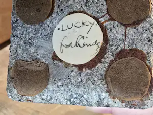 Felix van der Linden - Lucky kopen? Bied vanaf 200!