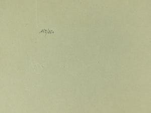 Leonor Fini - Jeune fille et servant kopen? Bied vanaf 30!