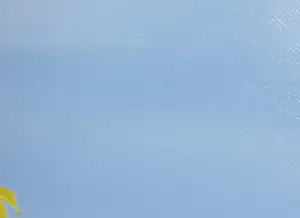 Jorge José Luis Joanicot - Olieverf op doek, Rio Ariguanabo - Ingelijst (Groot) kopen? Bied vanaf 100!