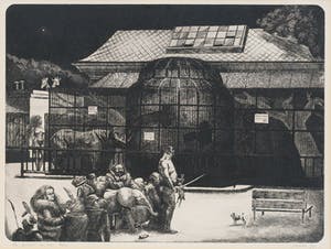 Niet of onleesbaar gesigneerd - Dierentuin kopen? Bied vanaf 1!