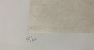 Leonor Fini - Aquatint La Sorcière sur le Balai kopen? Bied vanaf 30!