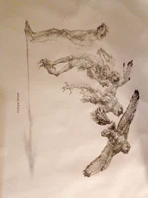 Peter Vos - Ascalaphus verkocht voor € 100!