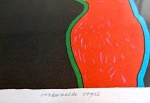 Harrie Gerritz - Verdwaalde Vogel (kijkt door tralies naar het landschap) - Ingelijst kopen? Bied vanaf 49!