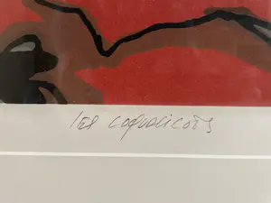 Fon Klement - Les Coquelicots - boardsnede 1992 - HC eigen druk kopen? Bied vanaf 150!