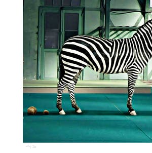 Mr. Strange - Les Zèbres kopen? Bied vanaf 65!