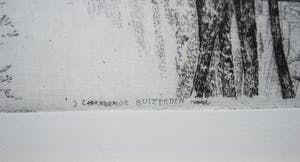 Charles Donker - 4e staat, proefdruk: Struiken en stammen in sneeuwlandschap kopen? Bied vanaf 395!