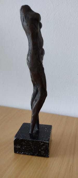 Curiosa - Massief abstract Bronze figuur van vrouw kopen? Bied vanaf 60!