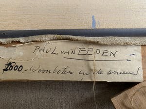 Paul van Eeden - Woonboten in de sneeuw kopen? Bied vanaf 99!