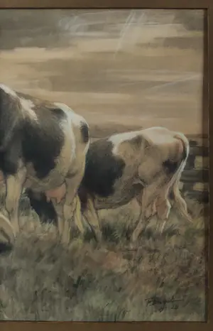 Frederik Jbzn Engel - Koeien kopen? Bied vanaf 200!