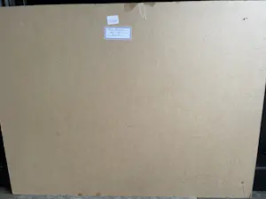 Kiss Riemvis - Ying-yang kopen? Bied vanaf 20!