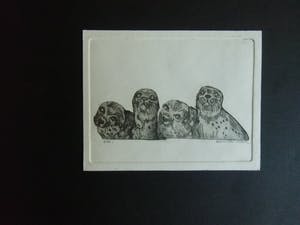 Ronnie Meerts - GELEGENHEIDSGRAFIEK kopen? Bied vanaf 1!