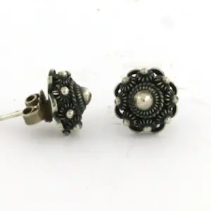 zilveren oorknoppen 2.9 gram kopen? Bied vanaf 25!
