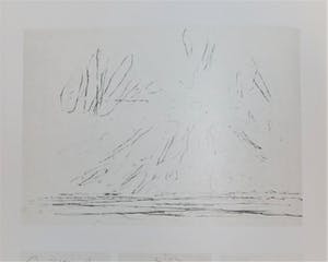 Willem den Ouden - Uiterwaarden vanaf de dijk. kopen? Bied vanaf 75!