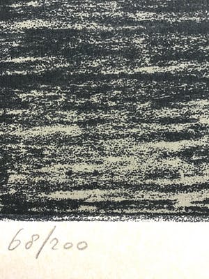 Peter Bes - Grote zeefdruk , gesigneerd kopen? Bied vanaf 40!