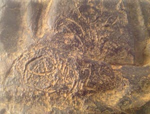 Anne Hofte - Moeder en kind kopen? Bied vanaf 550!