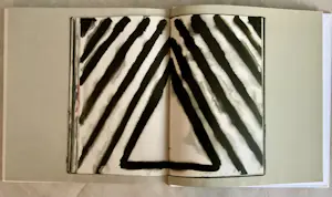 Leon Adriaans - Het leven schilderen is pakkend! kopen? Bied vanaf 50!