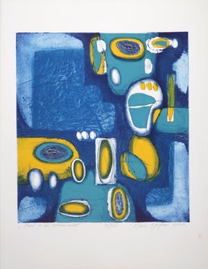 Hans Heijman - Kleurenets, Reis in de binnenwereld kopen? Bied vanaf 1!