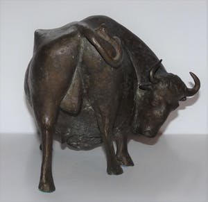 Evert den Hartog - Stier kopen? Bied vanaf 750!