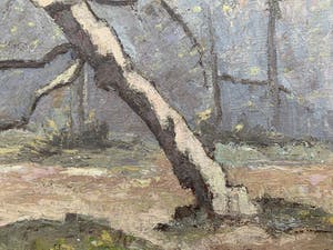 Auguste J.H. Van Steenacker - Besneeuwde boom kopen? Bied vanaf 29!