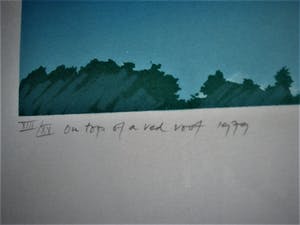 Piet Fioole - Gesigneerde Zeefdruk "on top of a red roof" zeer beperkte oplage! kopen? Bied vanaf 10!