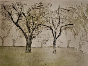 Niet of onleesbaar gesigneerd - In zeer kleine oplage vervaardigde Droge Naald Ets "Vlier" gesigneerd kopen? Bied vanaf 10!