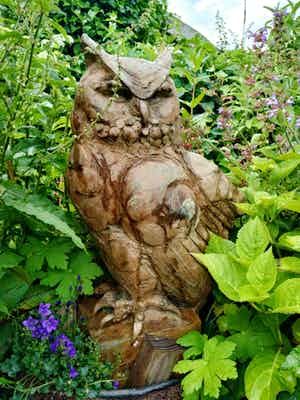 Coba Koster - C2189 - De grote Oehoe verkocht voor € 3000!