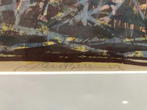 Jan Bezemer - Giraffe kopen? Bied vanaf 75!