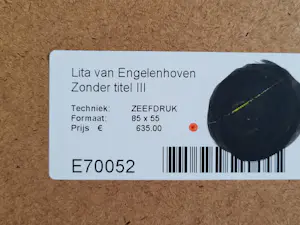 Lita van Engelenhoven - De tulpen en de 5 citroenen. kopen? Bied vanaf 75!