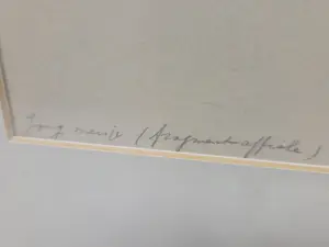 Aart van Dobbenburgh - Jong meisje kopen? Bied vanaf 20!