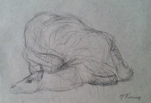 Jan Koning - Dromedaris. kopen? Bied vanaf 10!