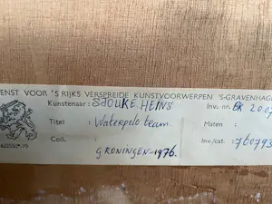 Sjouke Heins - Waterpolo team kopen? Bied vanaf 150!