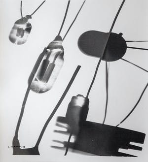 Luigi Veronesi - Fotogramm / Photogram kopen? Bied vanaf 440!