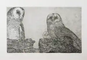 Reinder Homan - Ets, Twee uiltjes vendu pour 70€ !