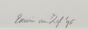 Erwin van Zijl - Aquarel, Zonder titel - Ingelijst kopen? Bied vanaf 50!