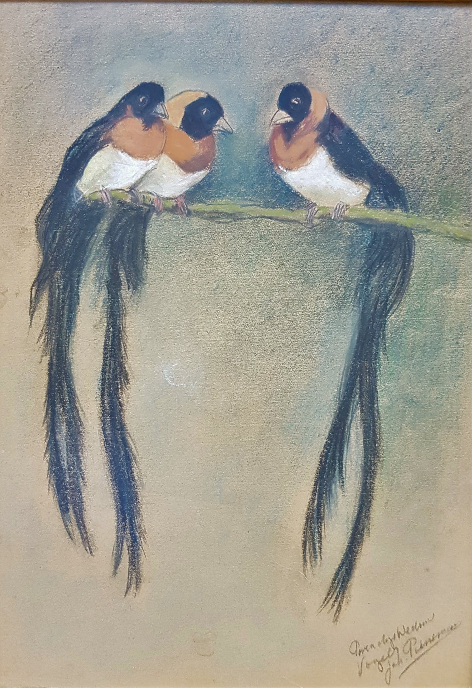 Johanna Pieneman (1889-1986)