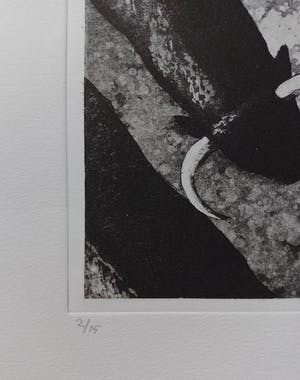 Rene Polak - Kudde, aquatint ets (kleine oplage) kopen? Bied vanaf 50!