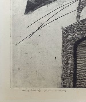 Roger Chailloux - Anatomie d’un oiseau, aquatint ets (groot) kopen? Bied vanaf 60!